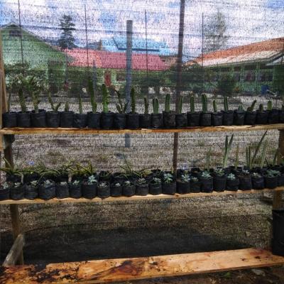 Img 20181029 Wa00134